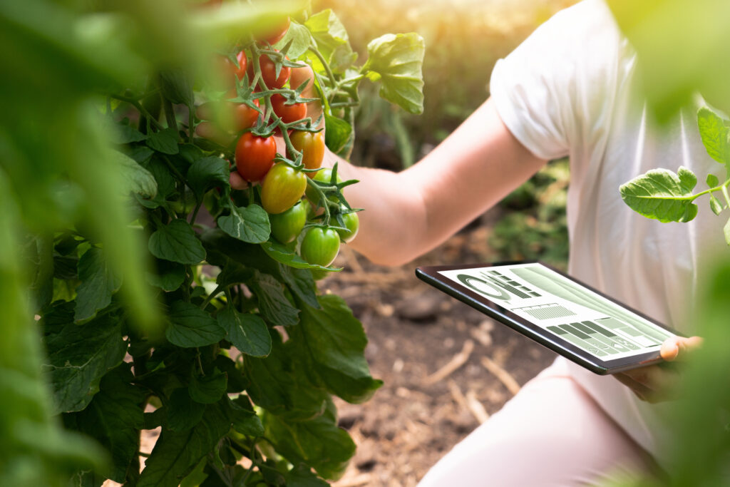 digitalisation de l'agriculture, analyse de légumes