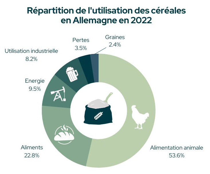 répartition des céréales produites en Allemagne: alimentation, utilisation industrielle...